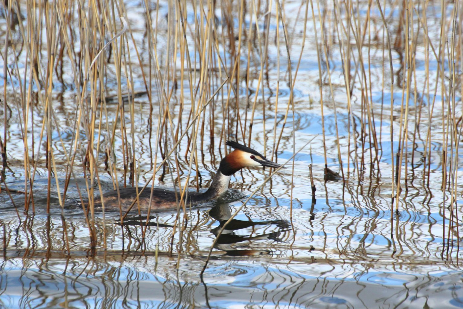 Valokuvaaja: Irja lehtinen