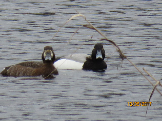 Valokuvaaja: Tuula Makkonen