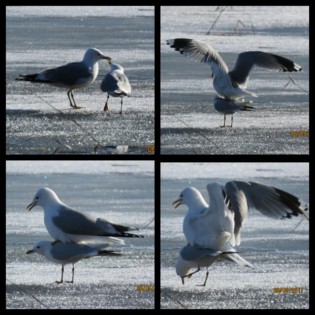 Valokuvaaja: Tuula Makkonen