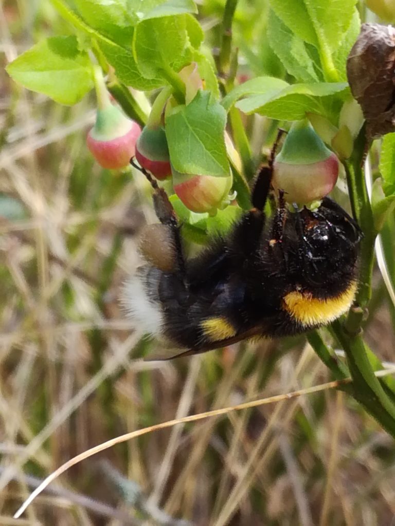 Valokuvaaja: Riitta Marjamäki