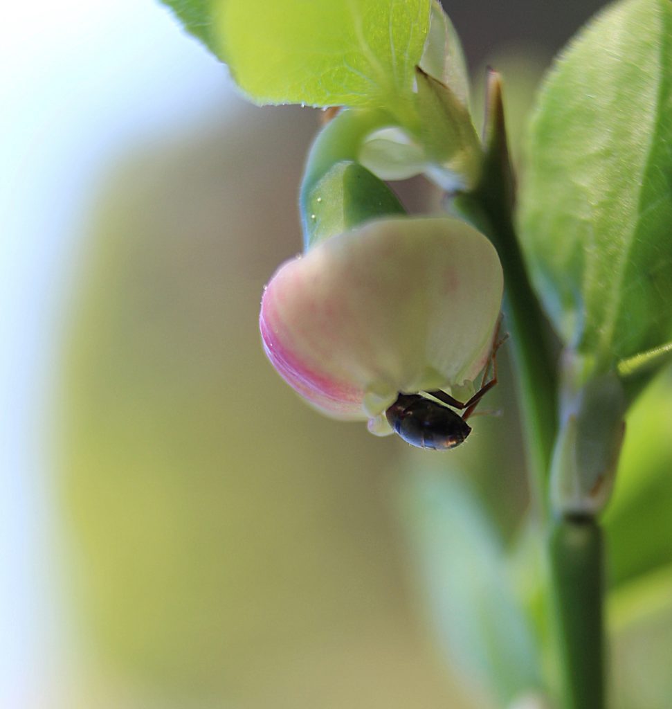 Valokuvaaja: Irja Lehtinen