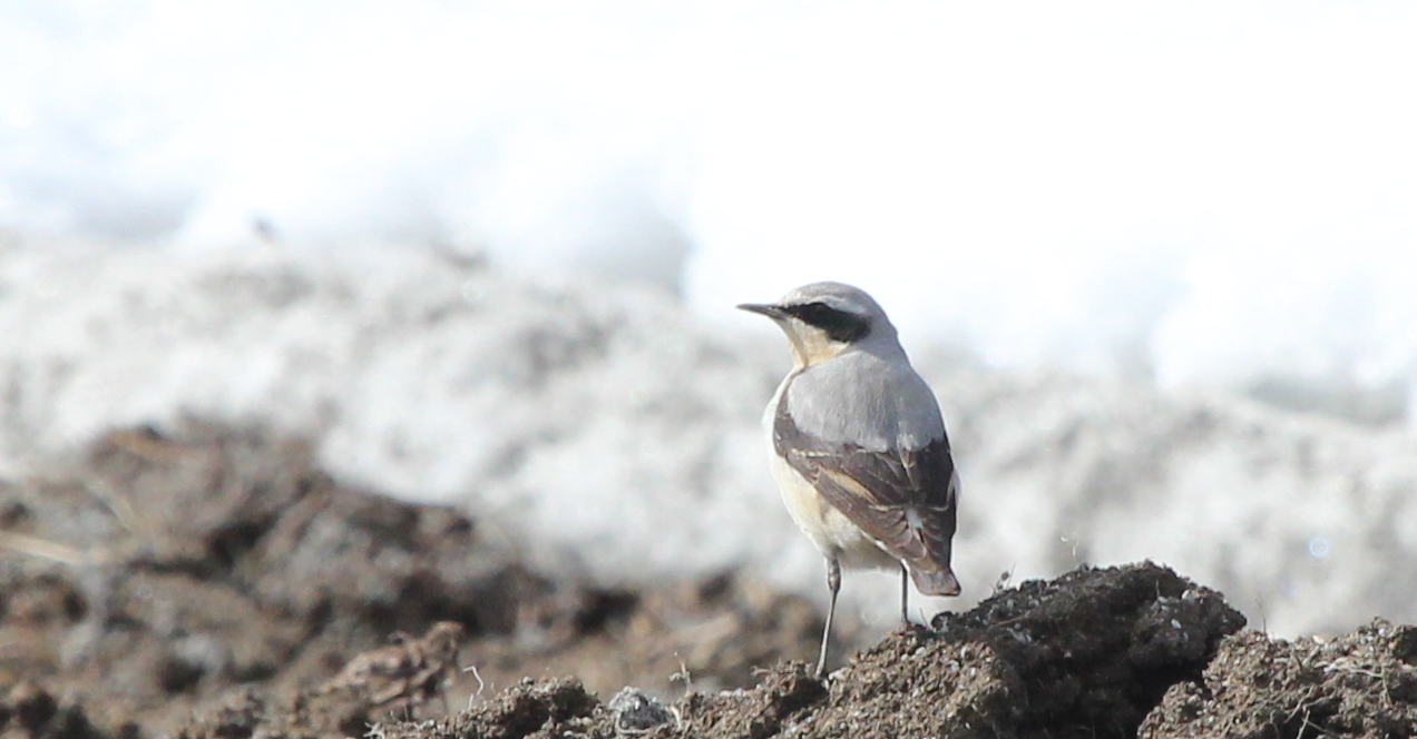 Valokuvaaja: Raija Kokkola