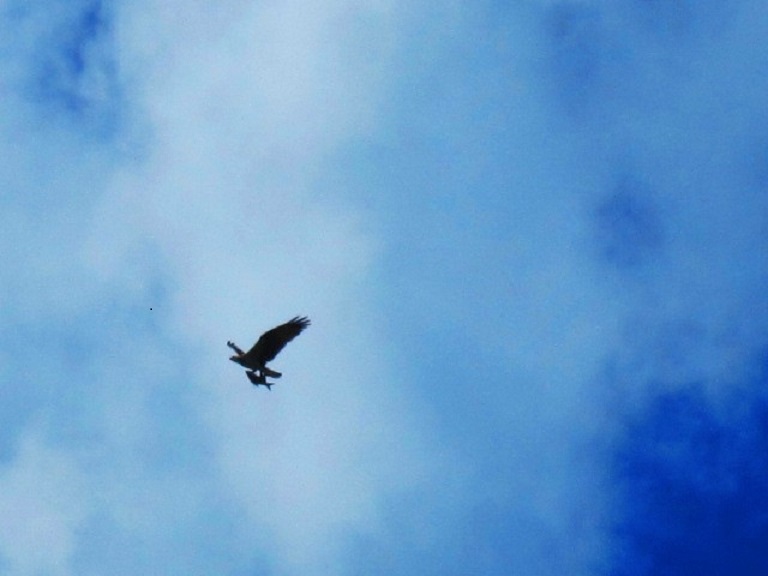 Valokuvaaja: Pirkko Hautamäki