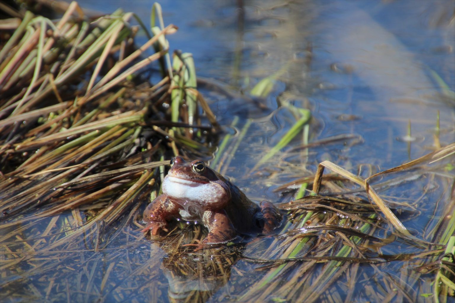 Valokuvaaja: Tiina Laihanen Valokuvaaja: Tiina Laihanen