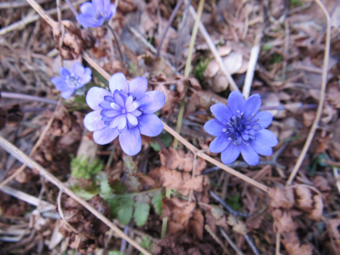 Valokuvaaja: Erkki Paajanen