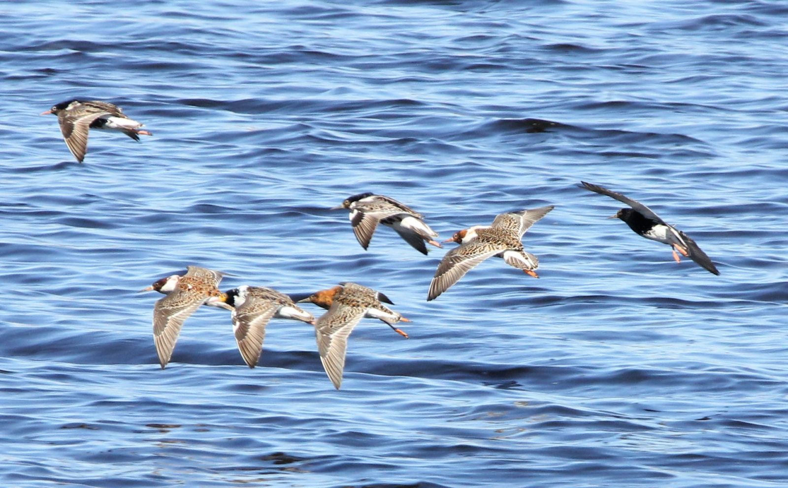 Valokuvaaja: Lasse Oksanen
