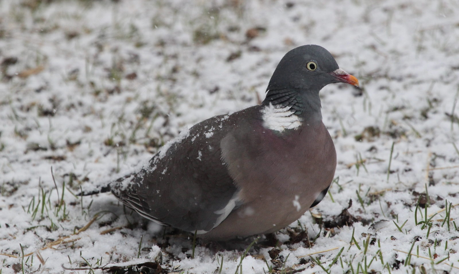 Valokuvaaja: Raija Kokkola
