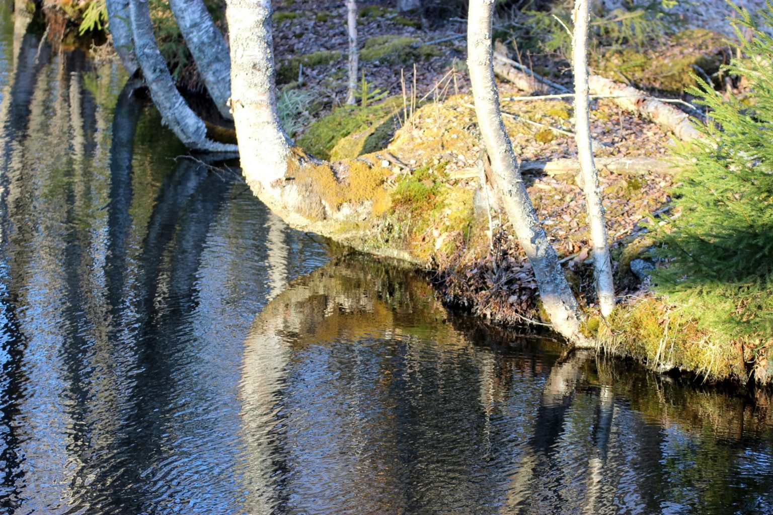 Valokuvaaja: Irja Lehtinen