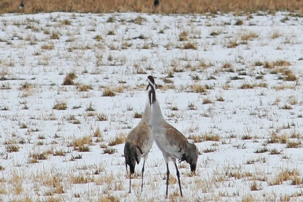 Valokuvaaja: Pirkko Hautamäki