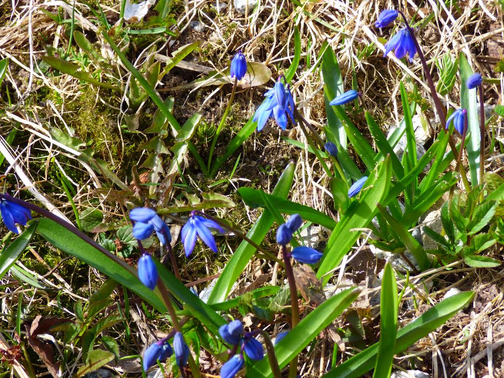 Valokuvaaja: Hannu Rissanen