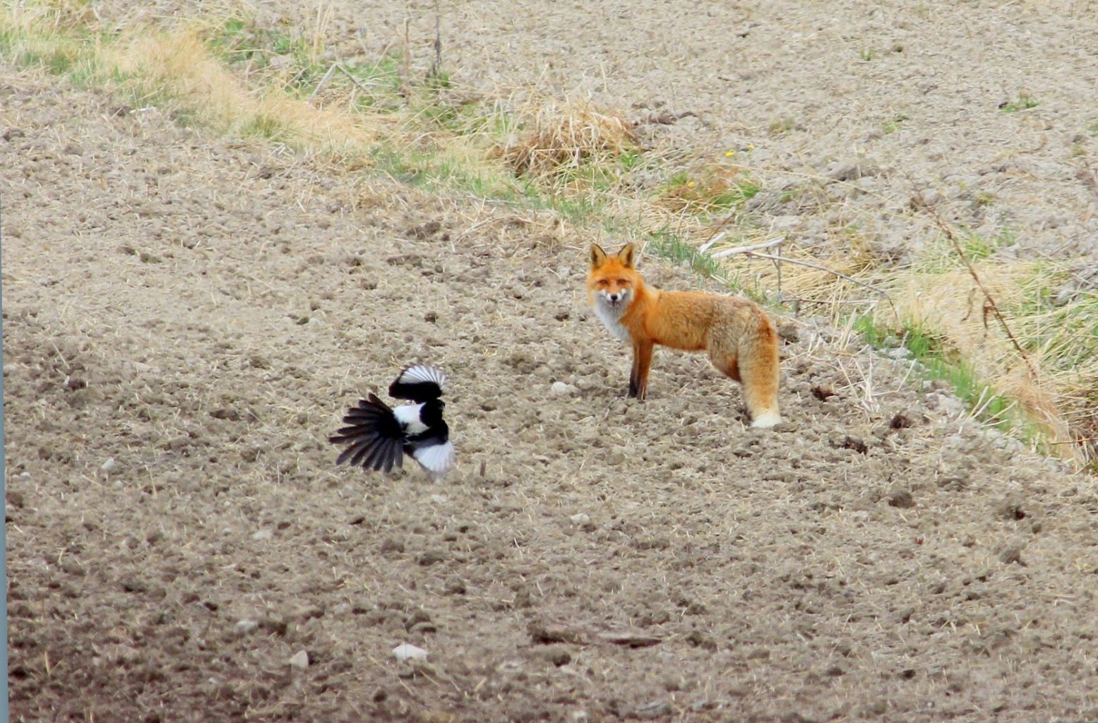 Valokuvaaja: Sirpa Jyske