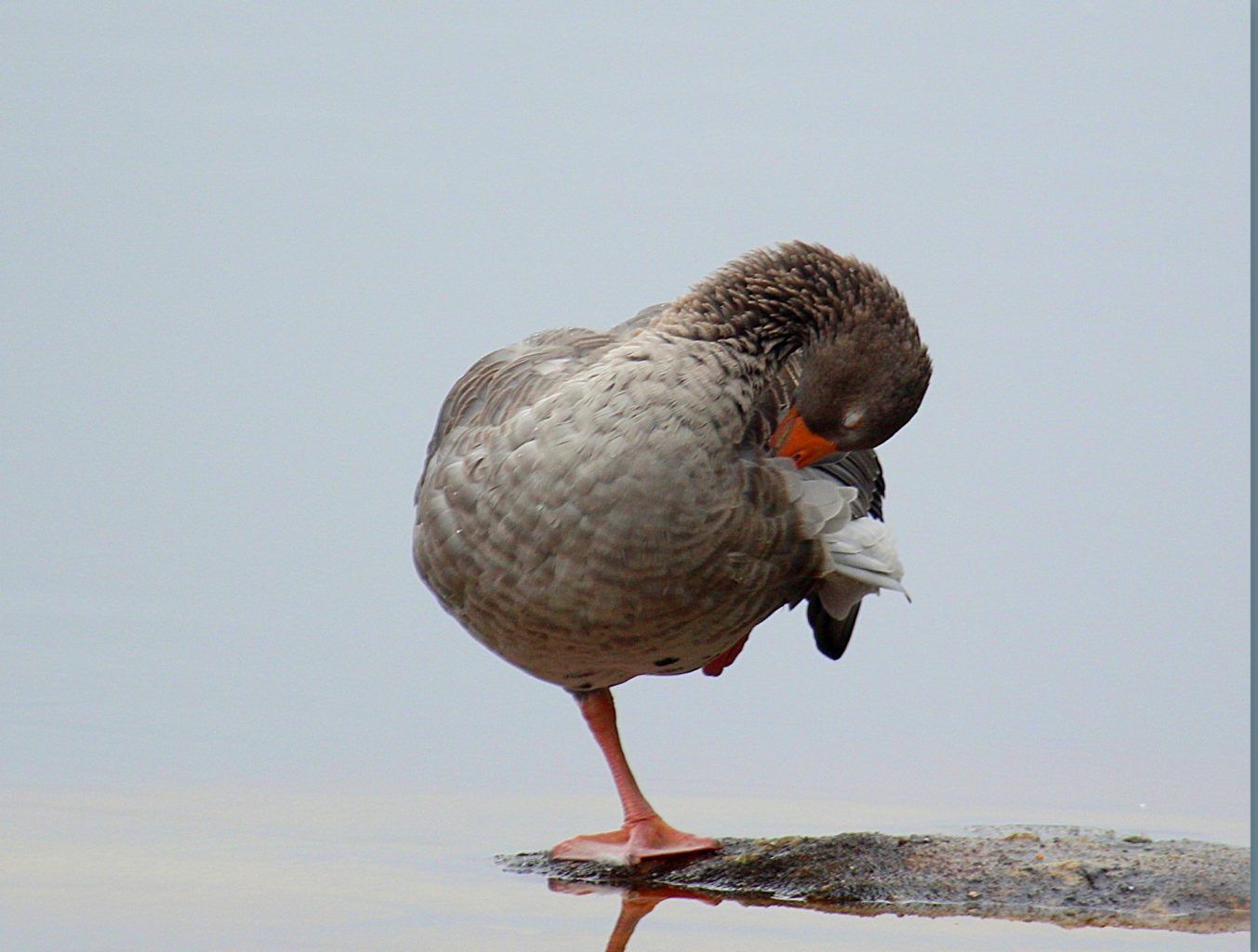 Valokuvaaja: Sirpa Jyske