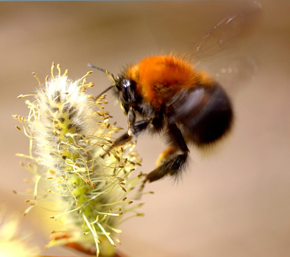 Valokuvaaja: Sirpa Jyske