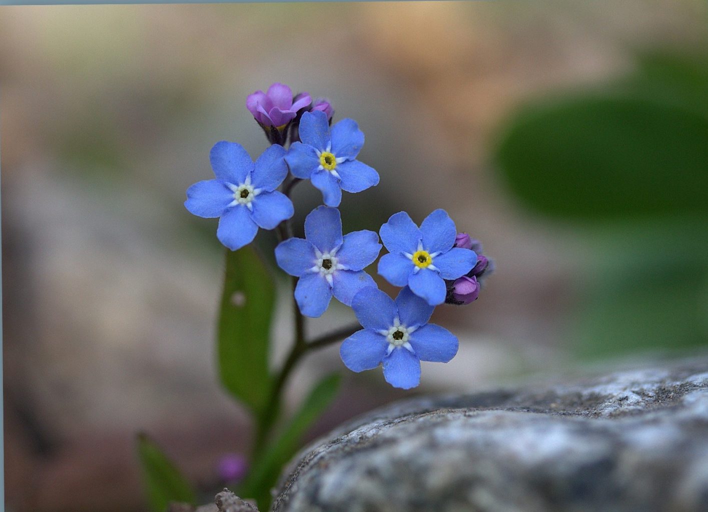 Valokuvaaja: Sirpa Jyske