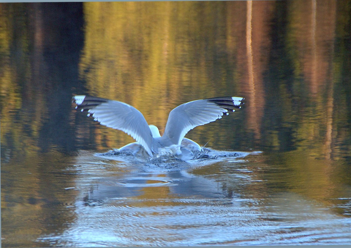 Valokuvaaja: Sirpa Jyske Valokuvaaja: Sirpa Jyske