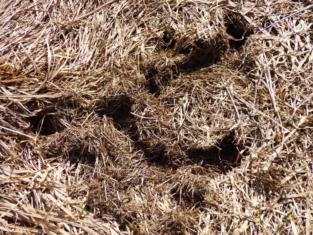 Valokuvaaja: Hannu Rissanen