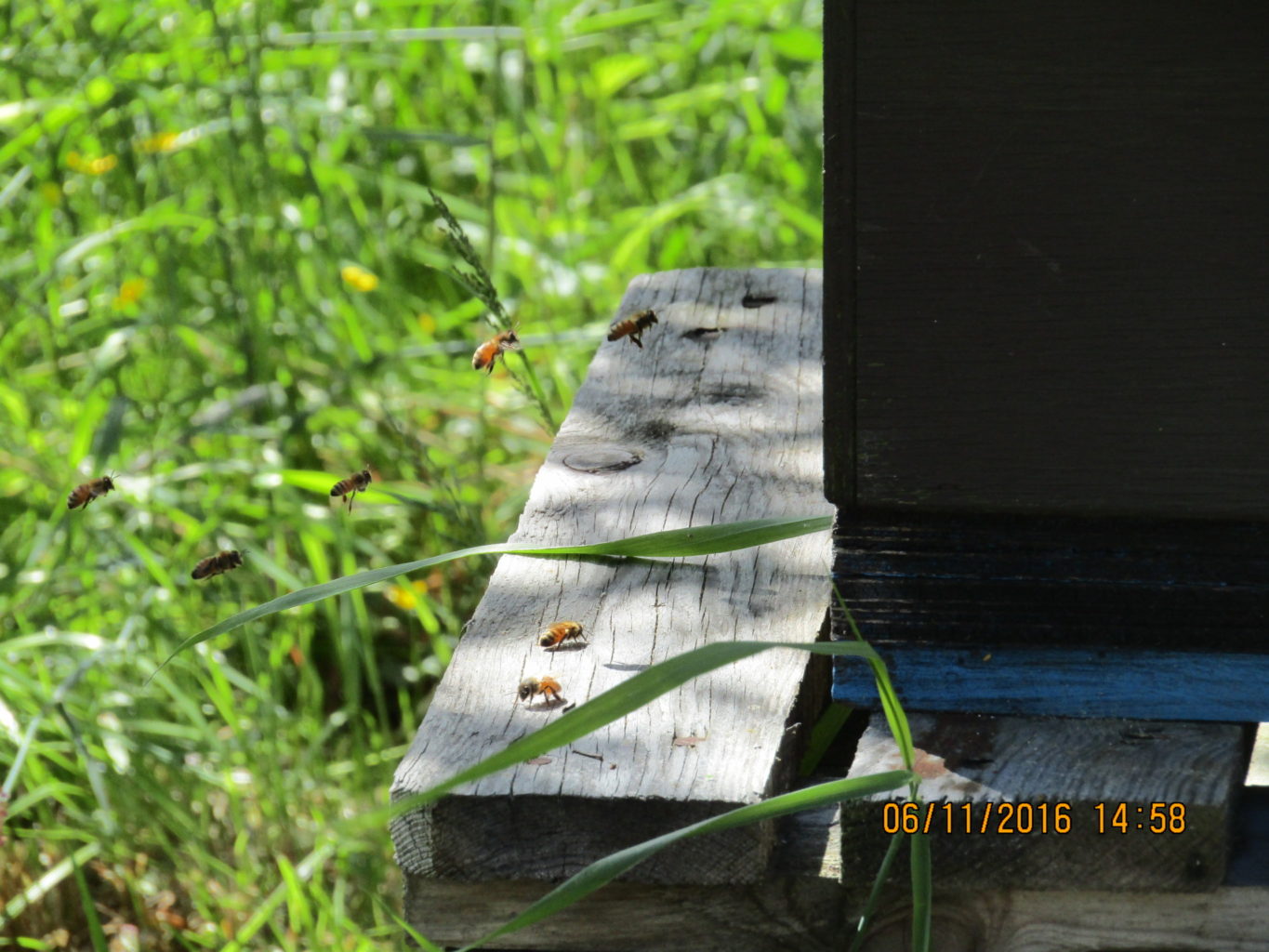 Valokuvaaja: Teija Matikka