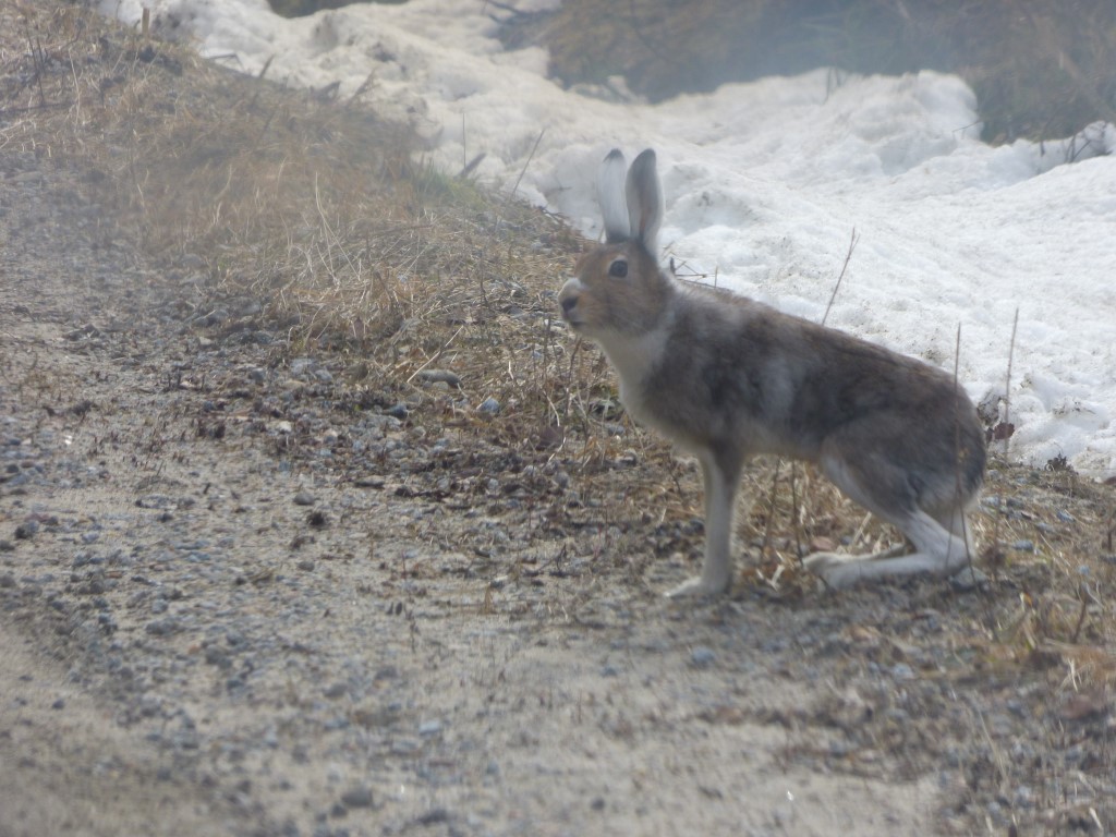Valokuvaaja: Hannu Rissanen