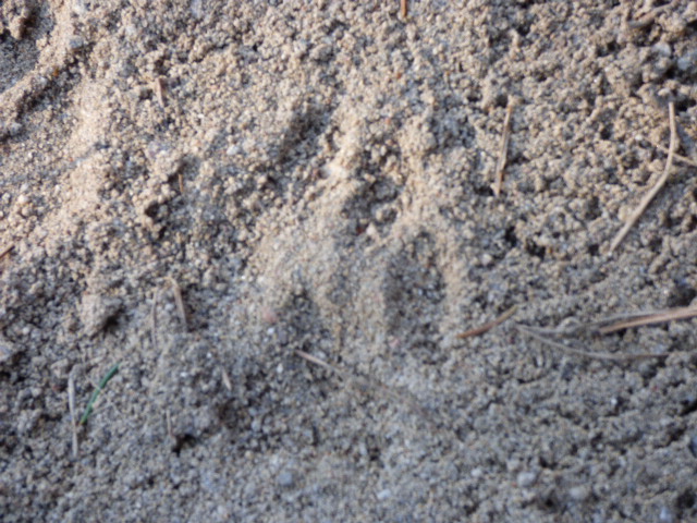 Valokuvaaja: Hannu Rissanen