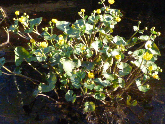 Valokuvaaja: Hannu Rissanen