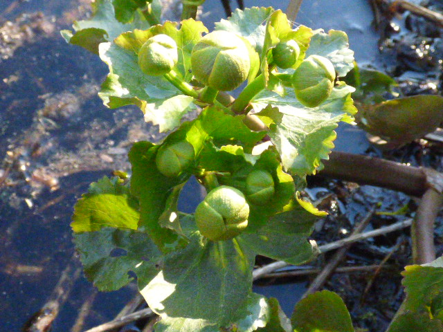 Valokuvaaja: Hannu Rissanen