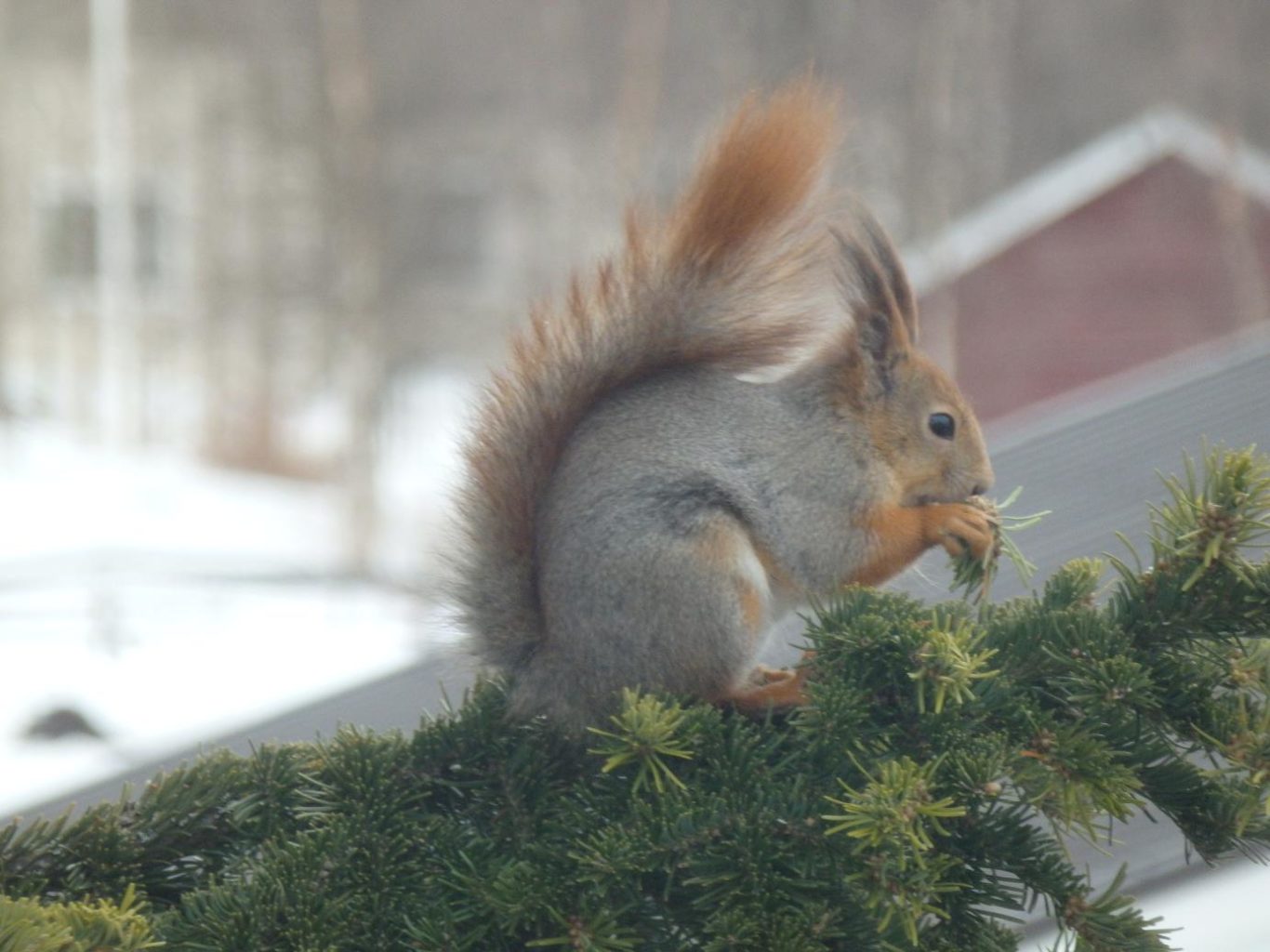 Valokuvaaja: Antti Mattanen