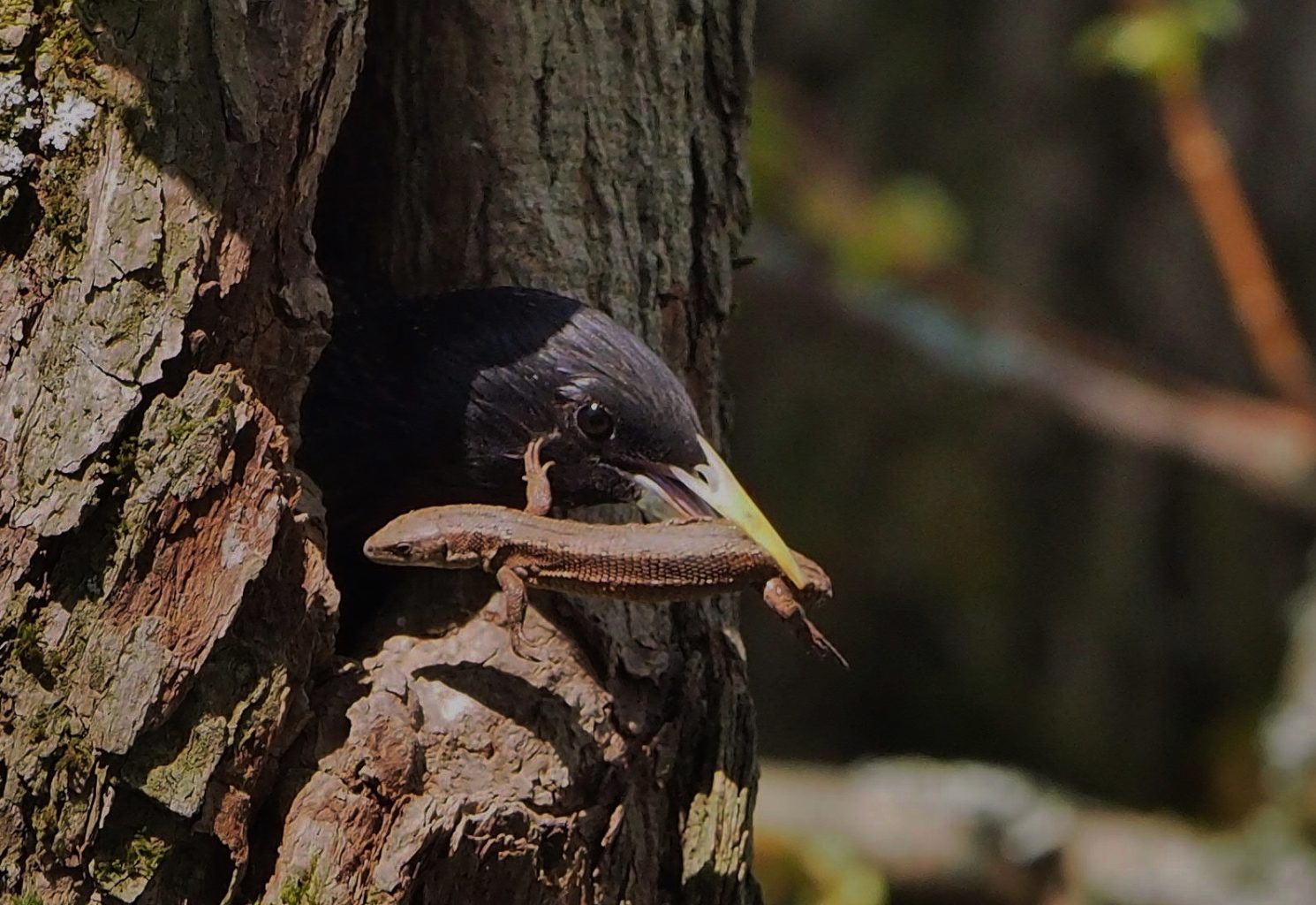 Valokuvaaja: Tapani Latvala