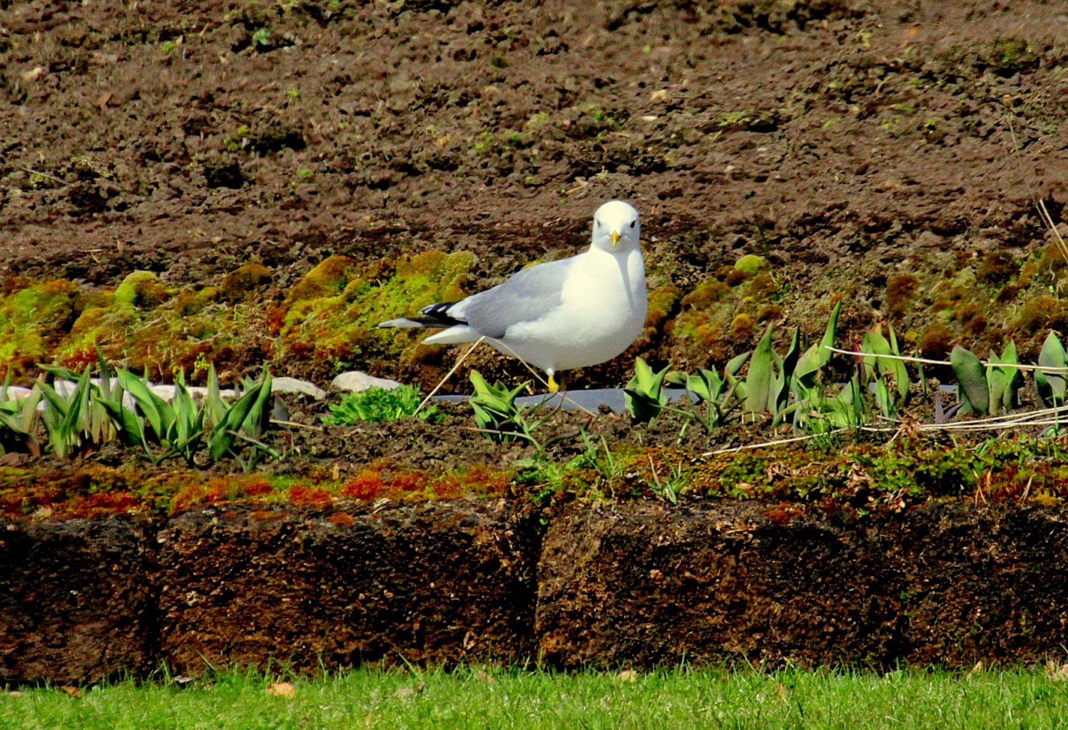 Valokuvaaja: Sirpa Jyske Valokuvaaja: Sirpa Jyske