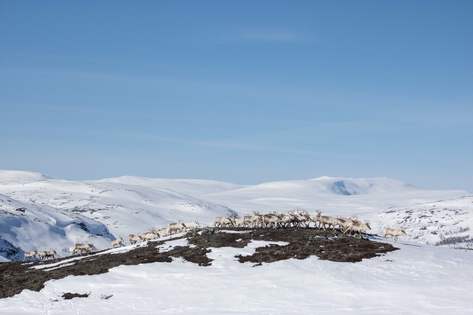 Valokuvaaja: Katri Niskanen