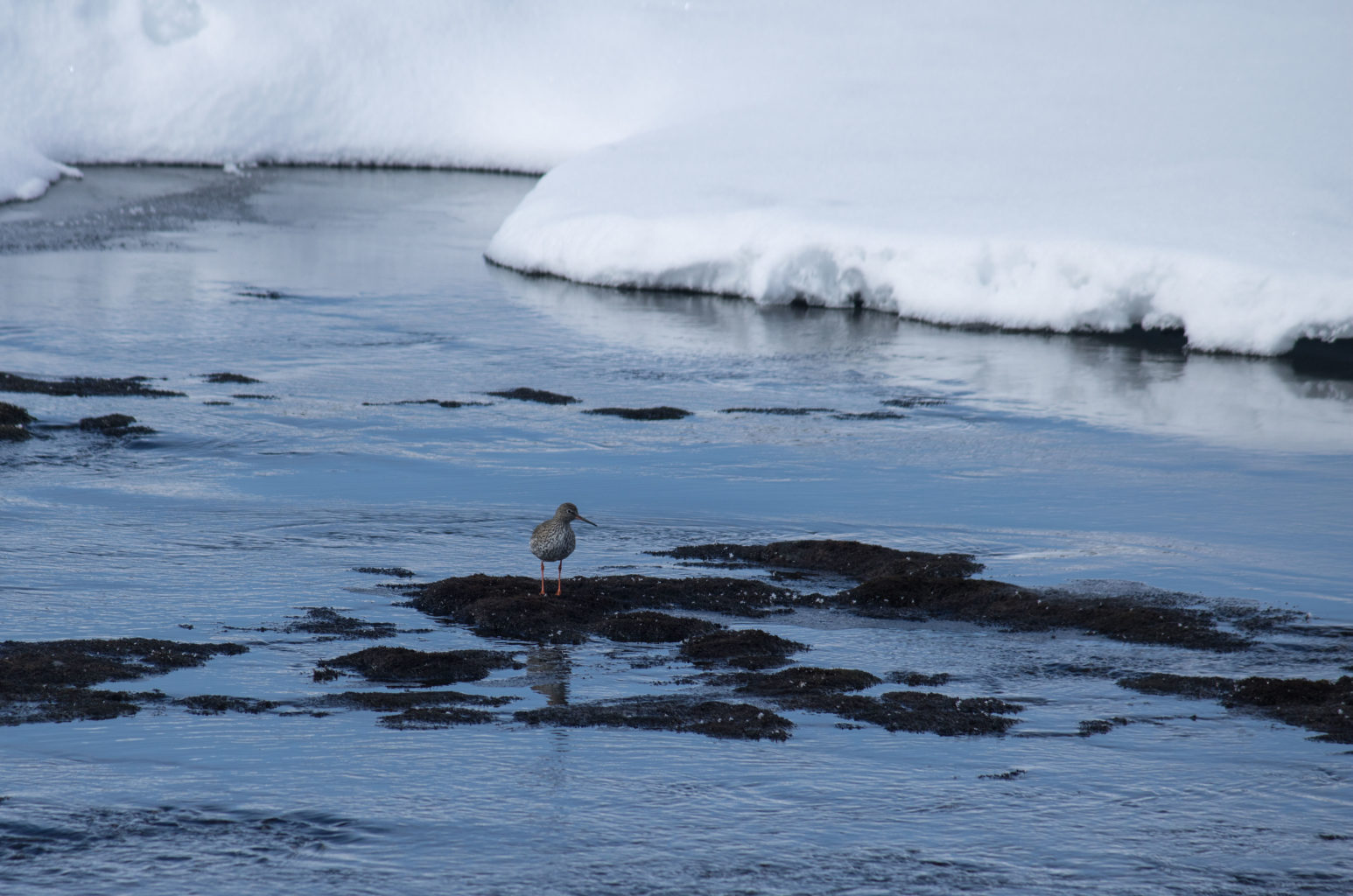 Valokuvaaja: Katri Niskanen