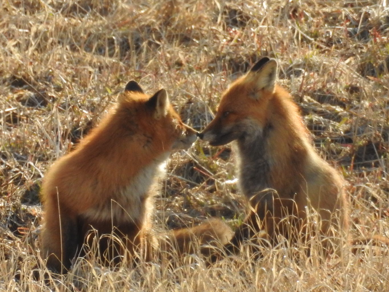 Valokuvaaja: Päivi Heikkilä