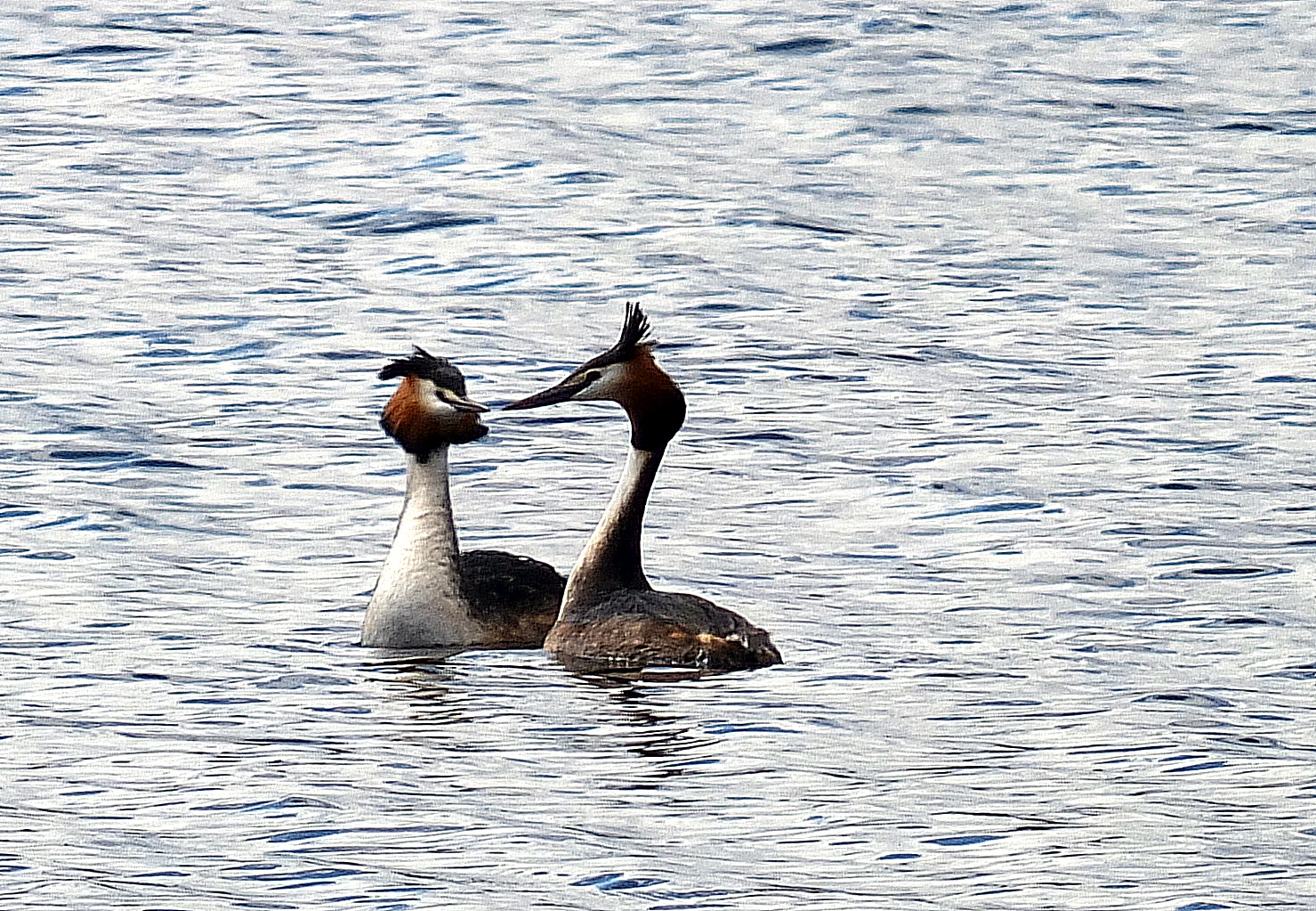 Valokuvaaja: Hannu Rasiranta