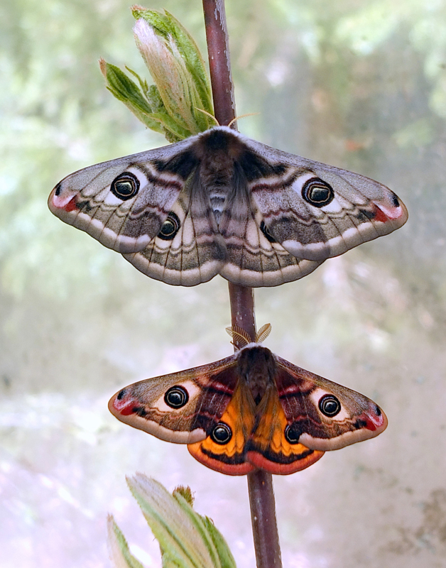 Valokuvaaja: Hannu Rasiranta