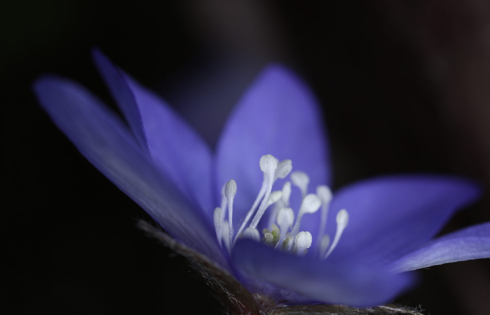 Valokuvaaja: Tarja Porkkala