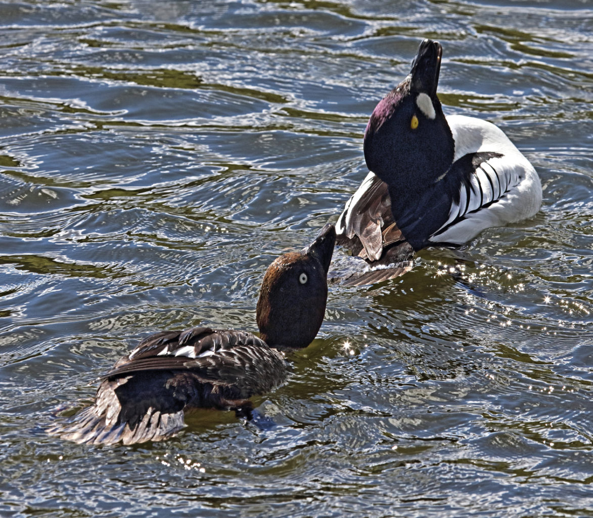 Valokuvaaja: Jamo Sillanpää Valokuvaaja: Jamo Sillanpää