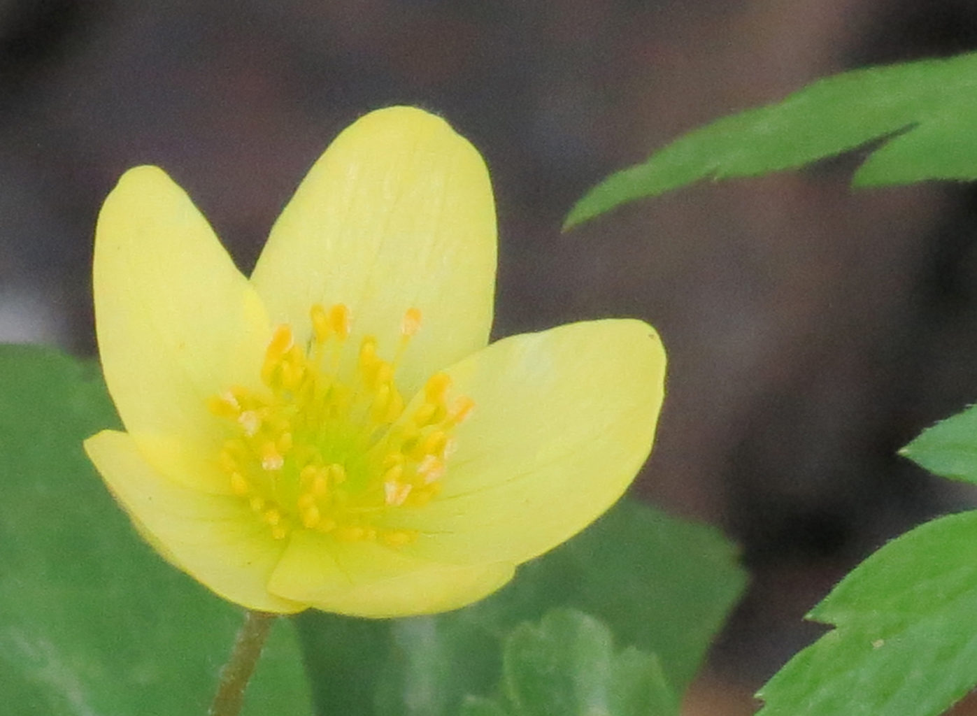 Valokuvaaja: Päivi Torkki