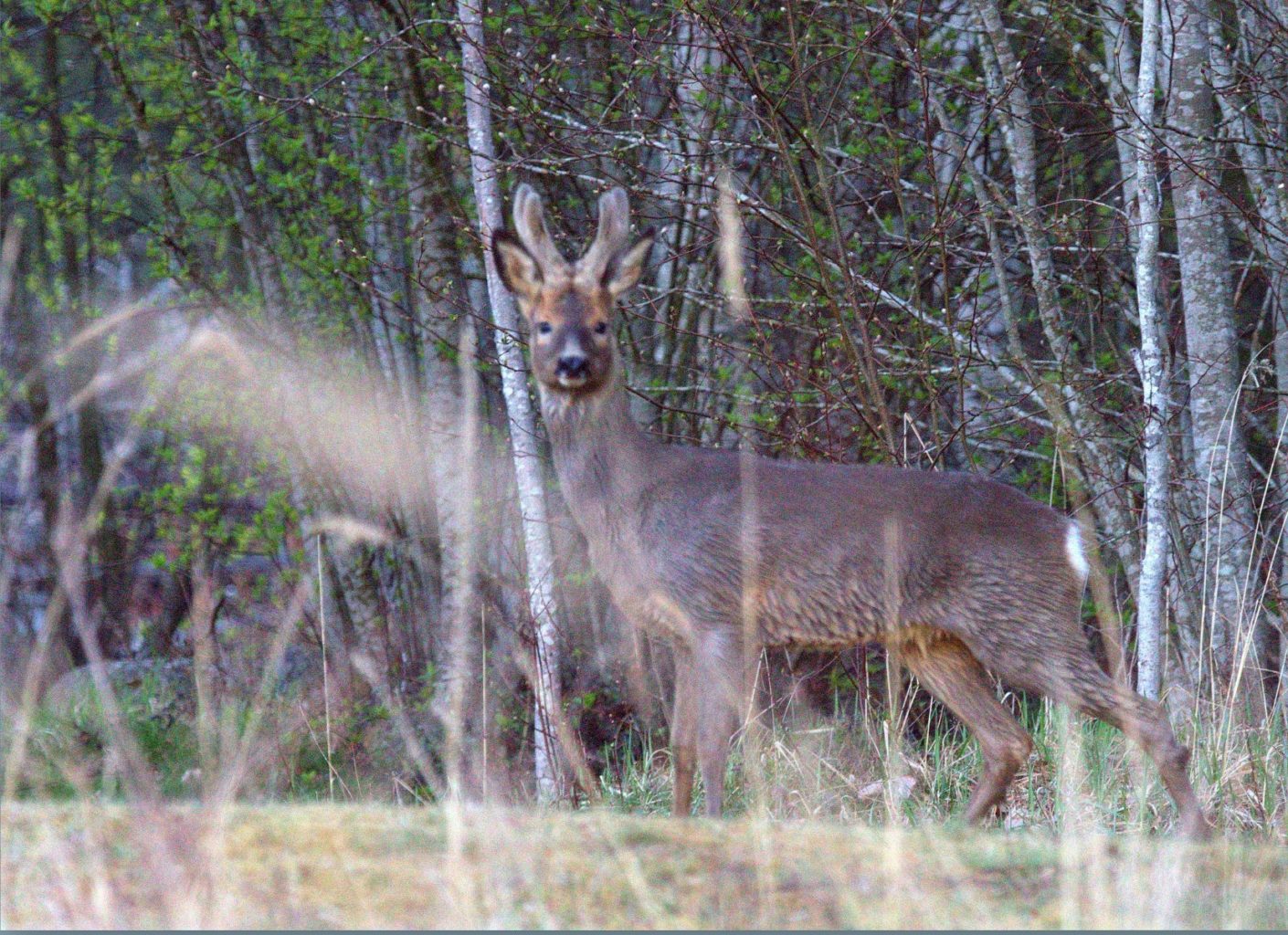 Valokuvaaja: Sirpa Jyske