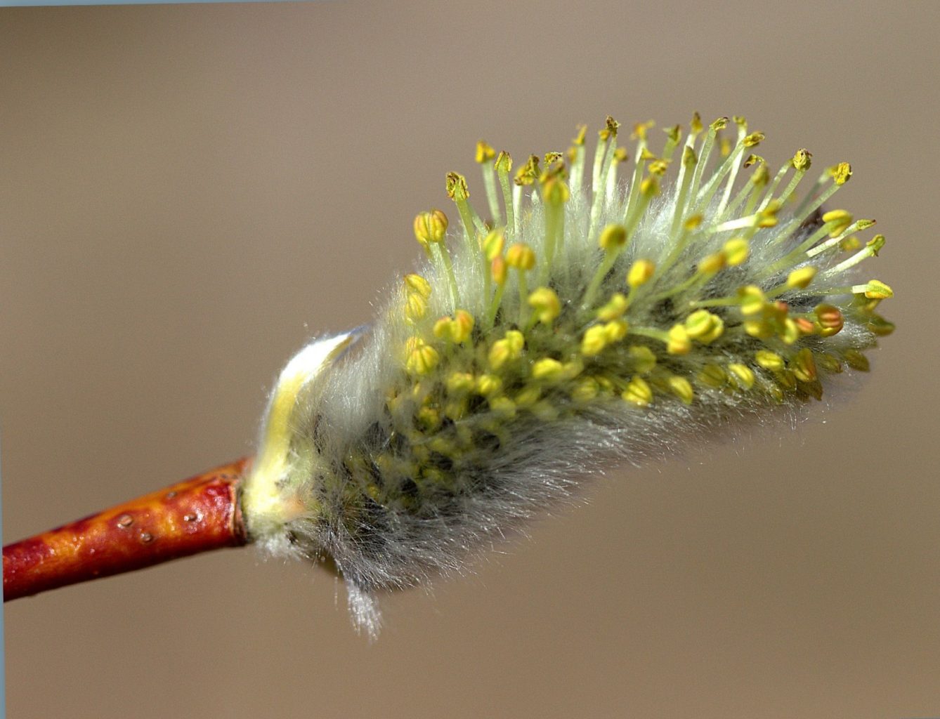 Valokuvaaja: Sirpa Jyske