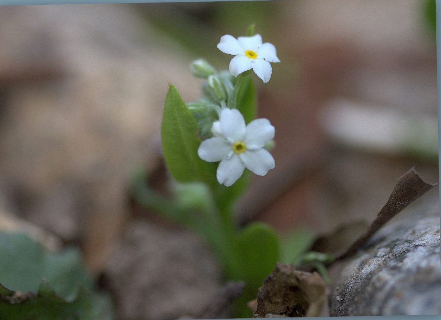 Valokuvaaja: Sirpa Jyske