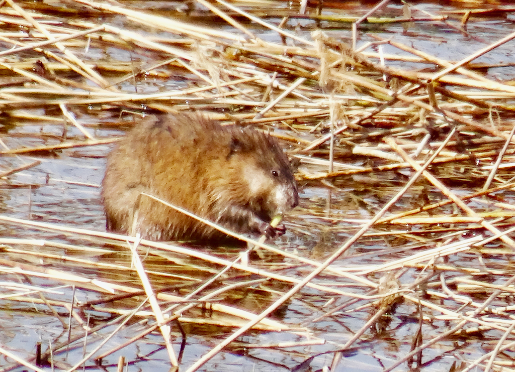 Valokuvaaja: Liisa Niiva-Korpela