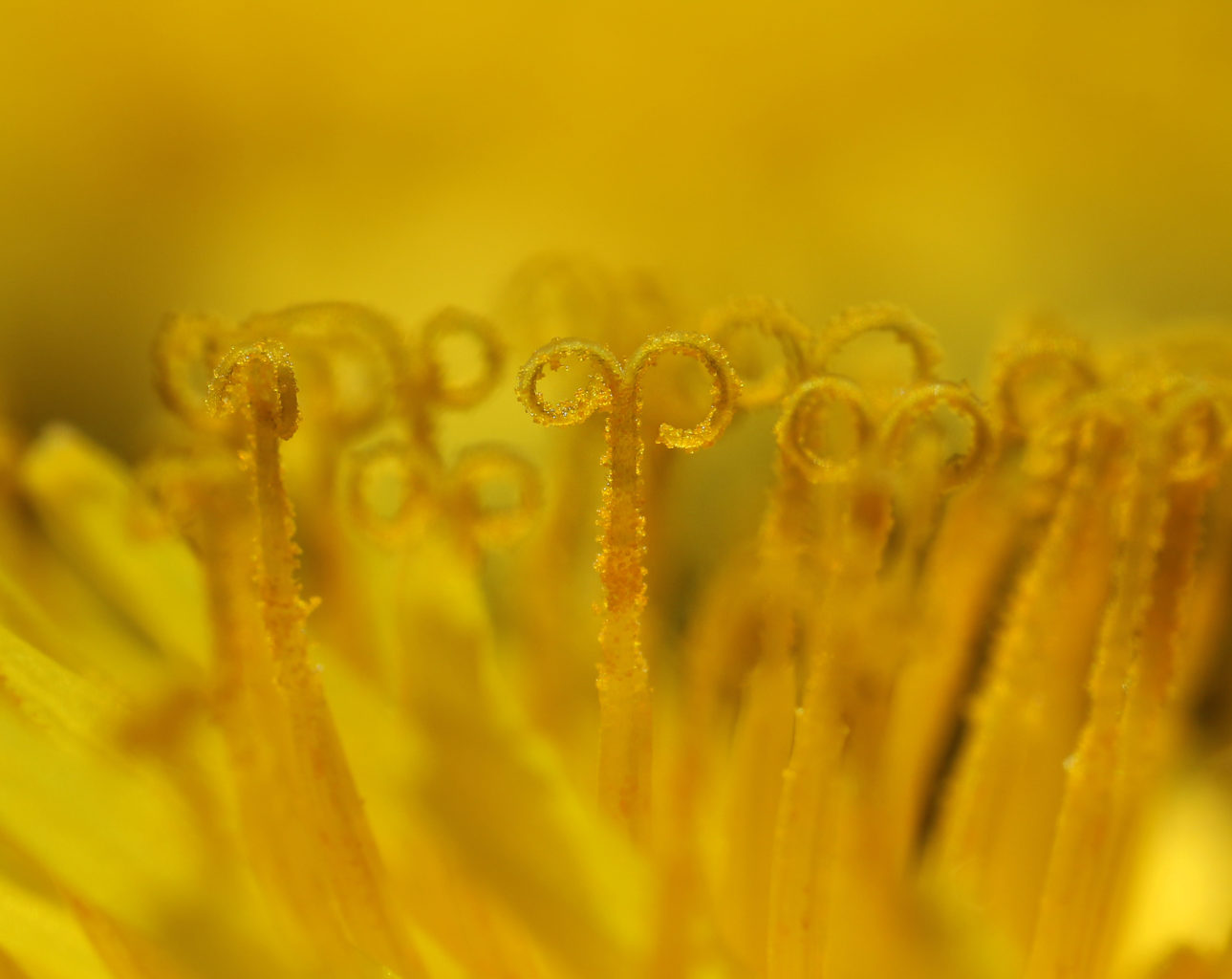 Valokuvaaja: Tarja Porkkala Valokuvaaja: Tarja Porkkala