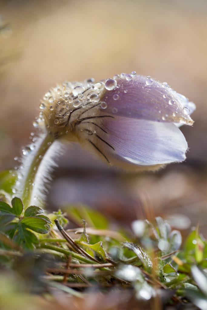 Valokuvaaja: Timo Saarinen