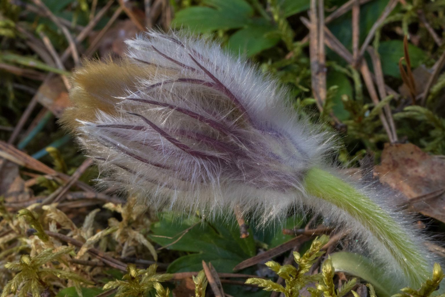 Valokuvaaja: Merja Ollikainen