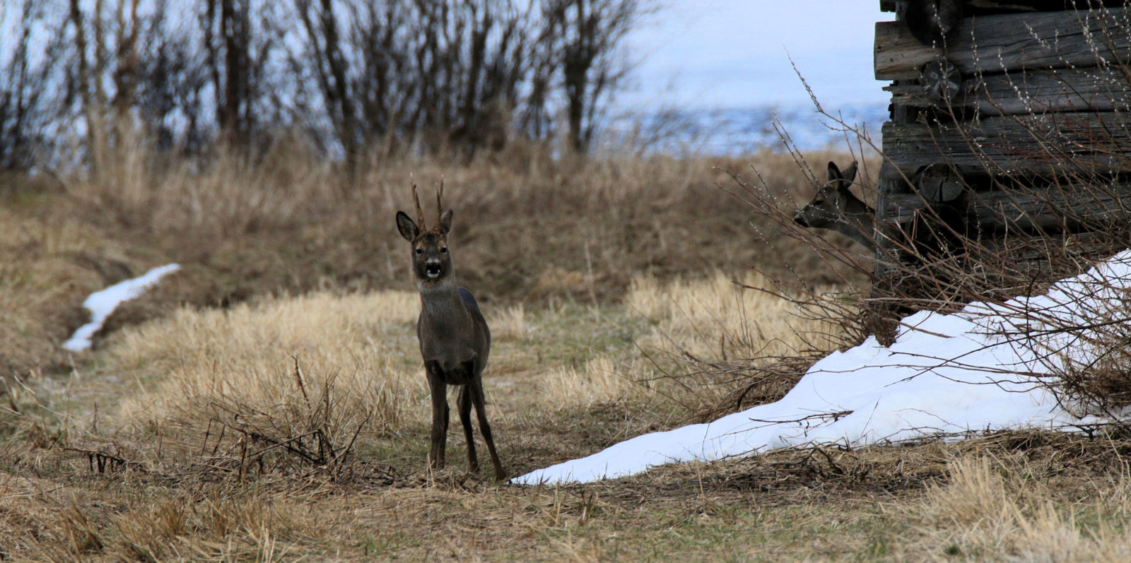 Valokuvaaja: Ahti Keränen
