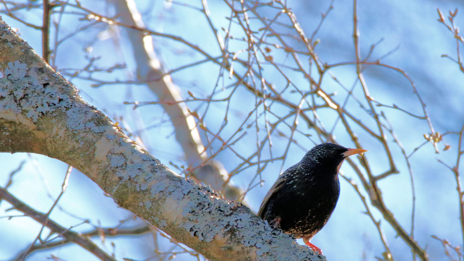 Valokuvaaja: Ahti Keränen Valokuvaaja: Ahti Keränen
