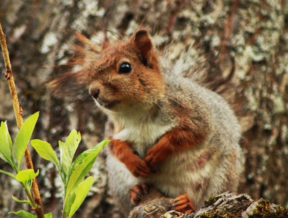 Valokuvaaja: Heini Krohns-Turunen