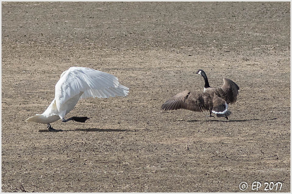 Valokuvaaja: Eija Putkuri