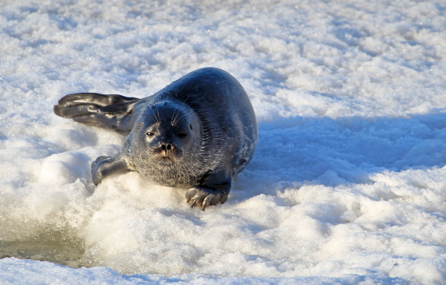 Valokuvaaja: anne keskivinkka