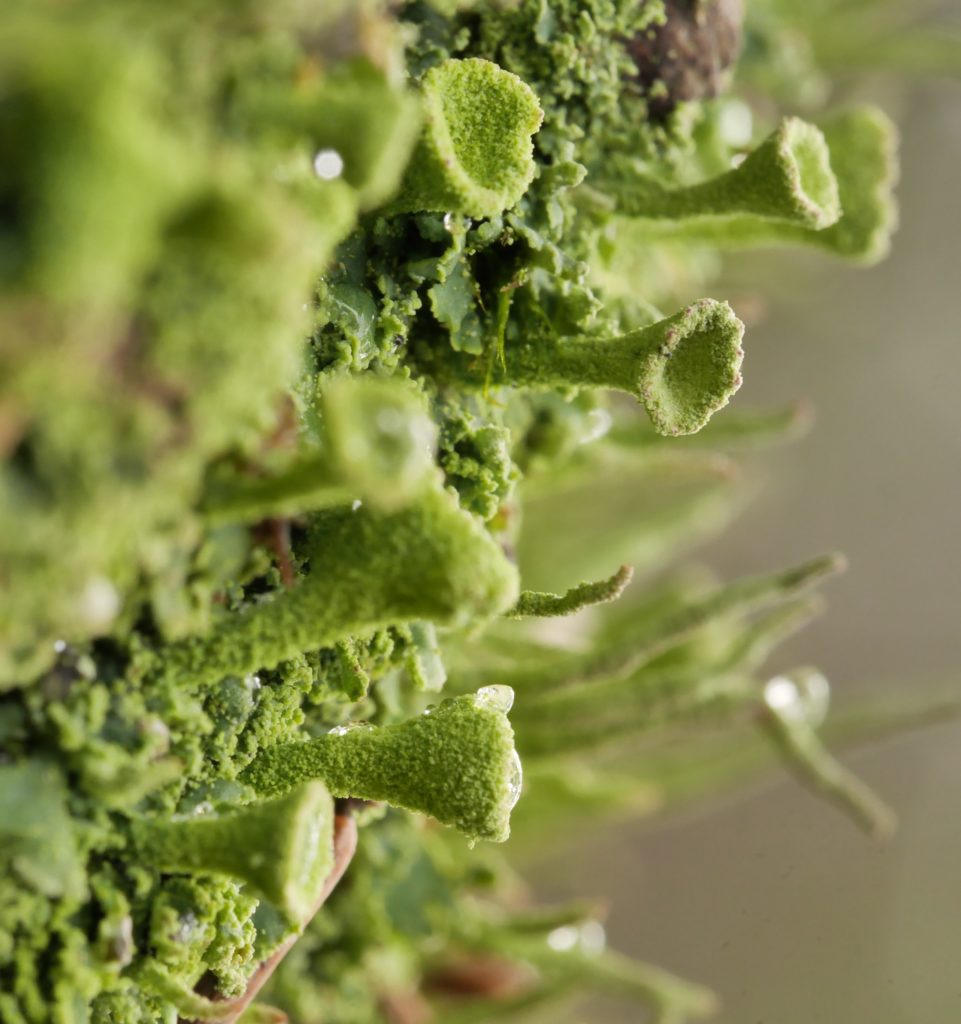 Valokuvaaja: Seppo Hassinen