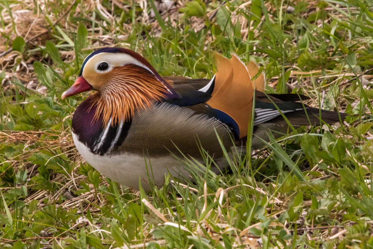 Valokuvaaja: Merja Ollikainen